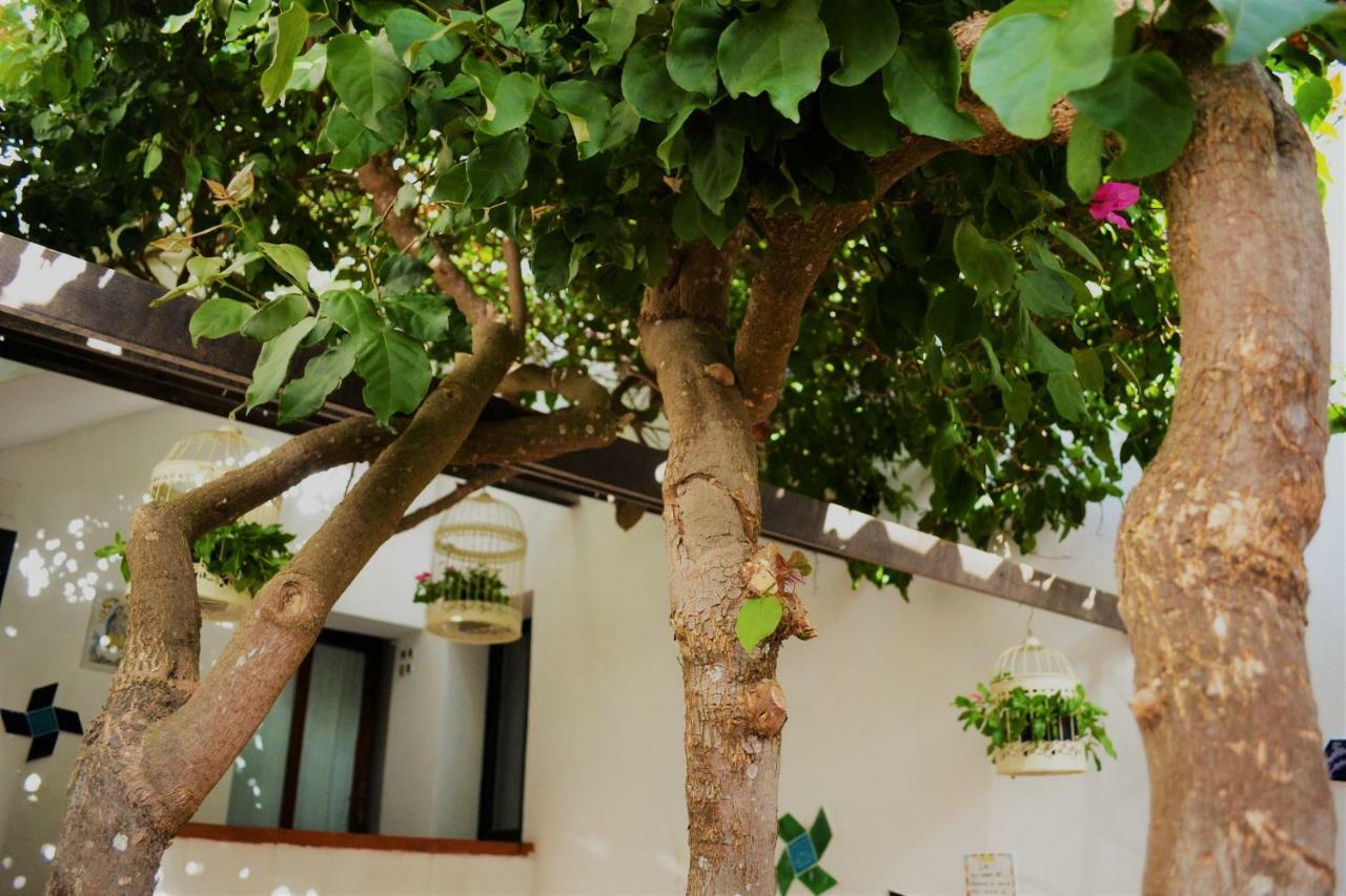Casa Gandamar B&B Santa Teresa Gallura Exterior photo