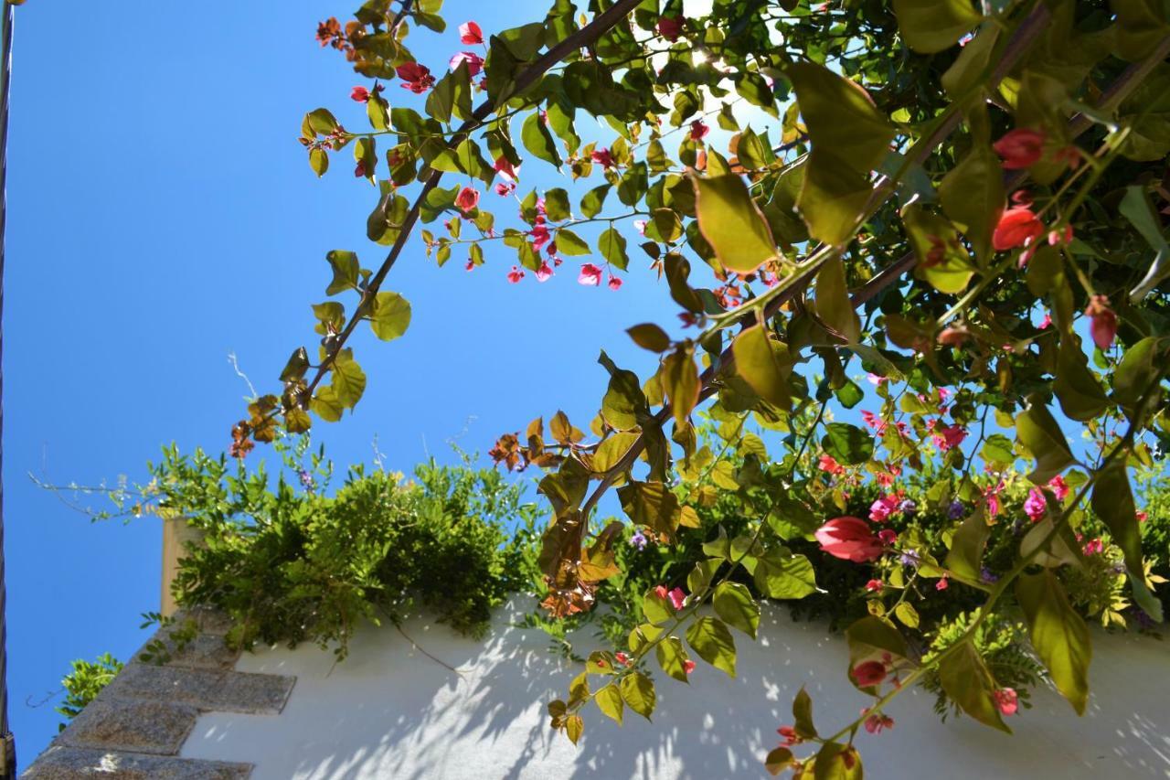 Casa Gandamar B&B Santa Teresa Gallura Exterior photo